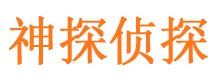 谢家集市私家侦探公司